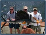 SAILFISH